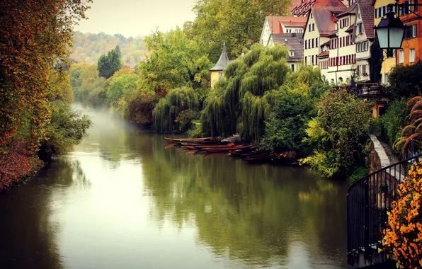 Picture autumn, trees, the city, fog, river, building, home, Germany