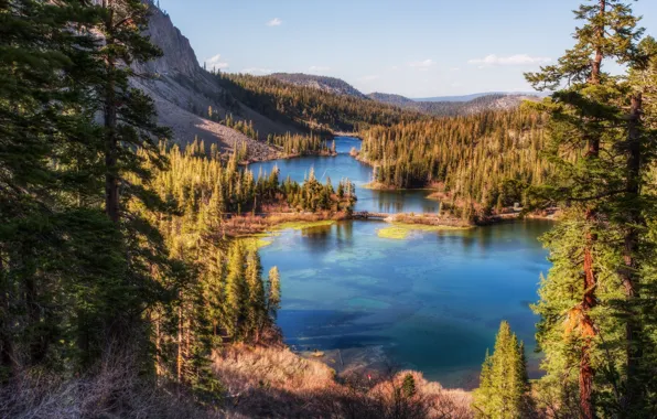 Picture forest, trees, mountains, CA, California, lake, Twin Lakes