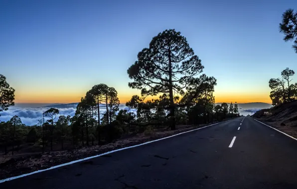 Road, landscape, mountains, morning