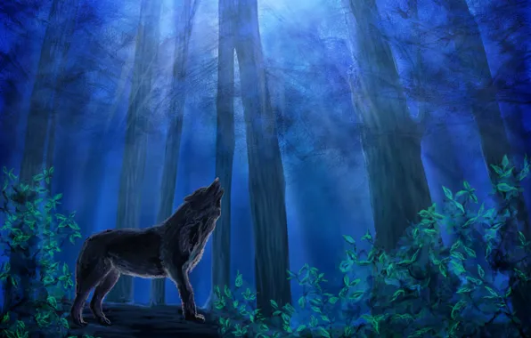 Picture forest, the sky, leaves, trees, night, animal, wolf, predator