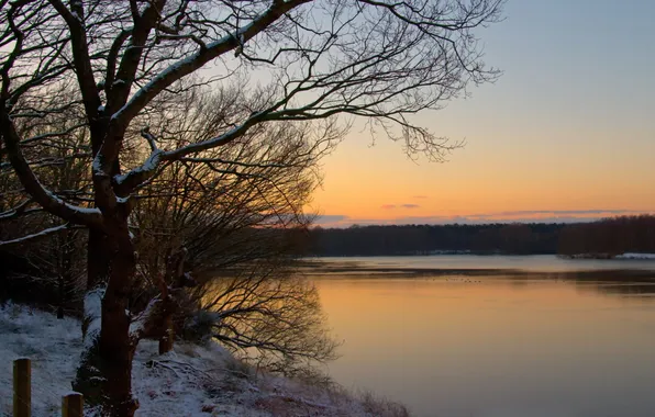 Forest, sunset, river, shore