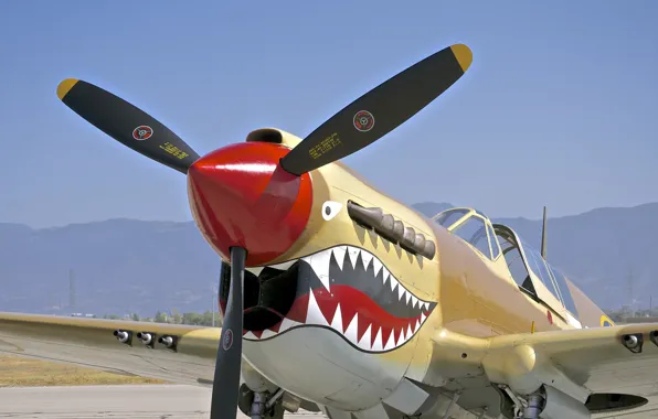 Retro, fighter, propeller, Curtiss, P-40
