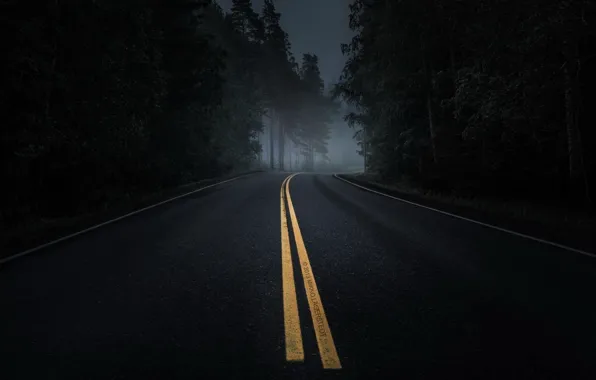 Road, forest, night, beautiful