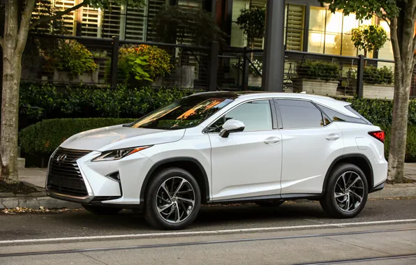 Picture Auto, White, Lexus, Machine, Car, 350, 2016, Lexus RX