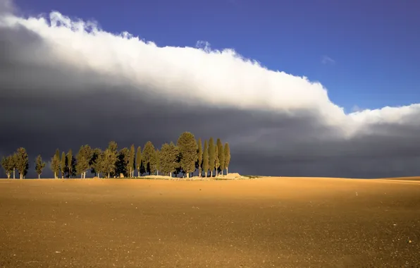 Picture field, trees, landscape, clouds