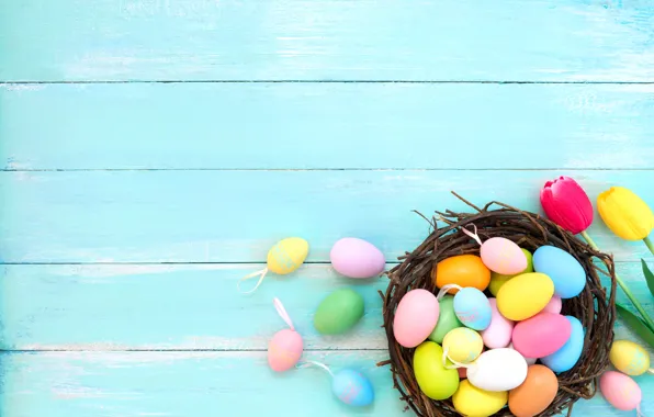 Easter, Eggs, Holiday, Socket