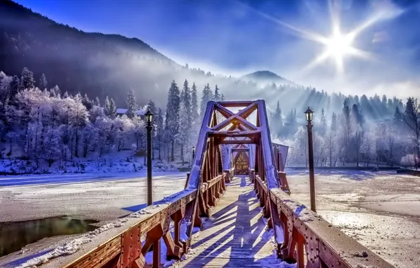 Winter, forest, the sky, snow, bridge, nature