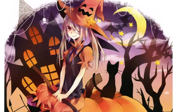 Night, spider, a month, Halloween, pumpkin, bats, black cat, art