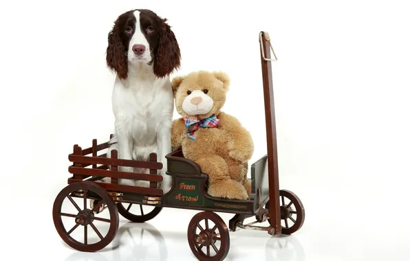 Picture toy, truck, Teddy bear, English Springer Spaniel