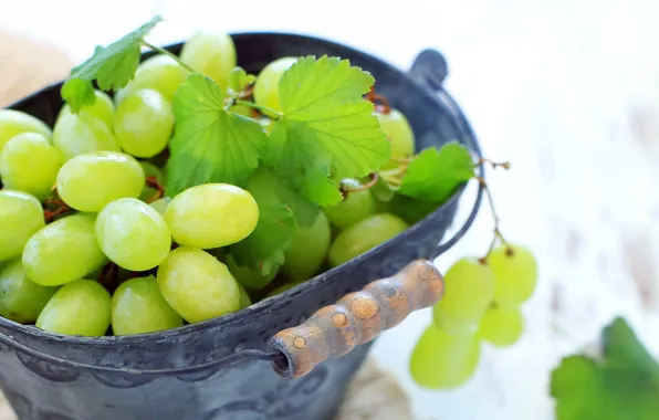 Picture white, leaves, berries, green, grapes, bunch, bucket