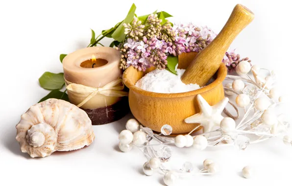 Picture flowers, lilac, candles, candle, spa, shells, seashells