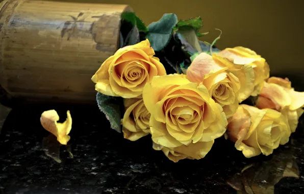 Flowers, roses, bouquet, yellow