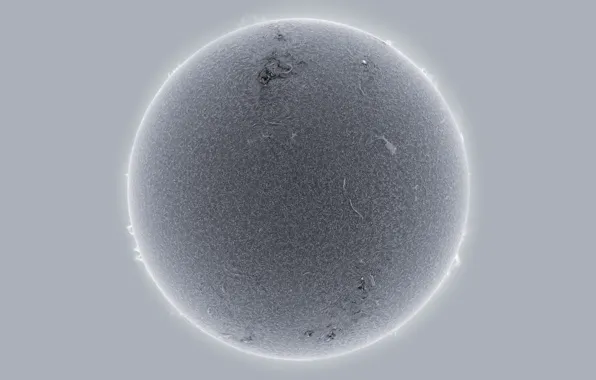 The sun, star, prominence, filter