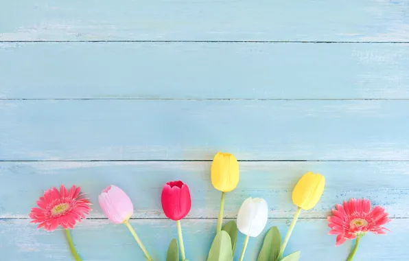 Flowers, spring, colorful, tulips, gerbera, wood, flowers, tulips