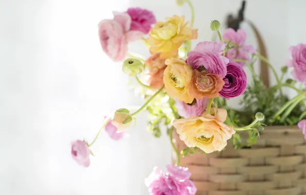 Light, flowers, background
