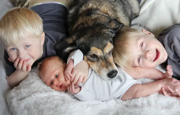 Picture children, house, dog