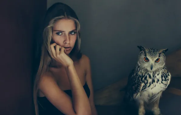Girl, background, owl