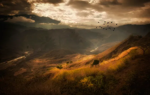 Picture clouds, mountains, birds