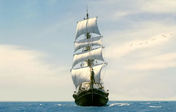 The sky, the ocean, bird, sailboat