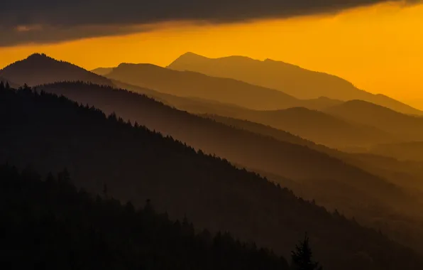 Sunset, mountains, Poland, Carpathians
