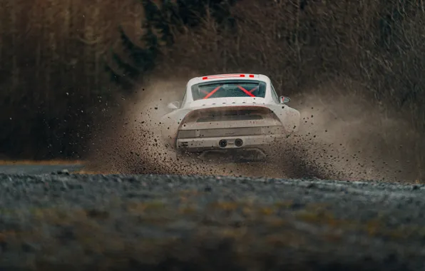 Picture squirt, 911, Porsche, dirt, back, rally, 964, AWD