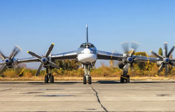 The plane, Moscow, Bear, Wings, USSR, Russia, Engines, Aviation