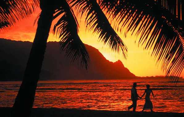 Sunset, palm trees, the ocean, romance, the evening, two