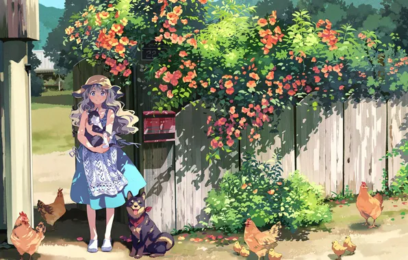 Picture cat, flowers, village, girl, chickens