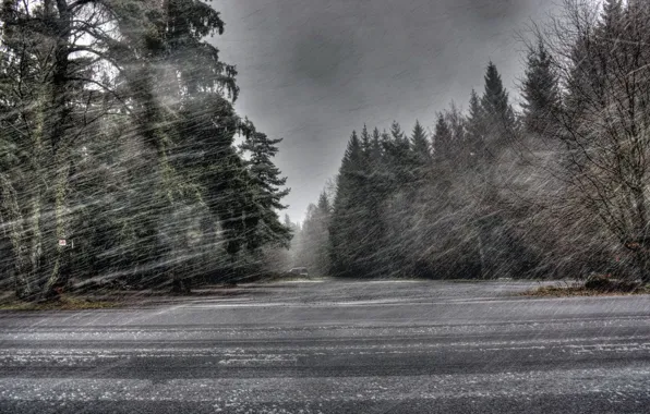 Picture road, snow, Blizzard