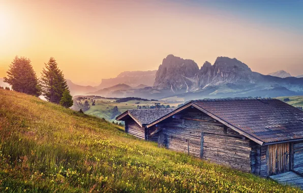Picture summer, mountains, home, Alps, meadows