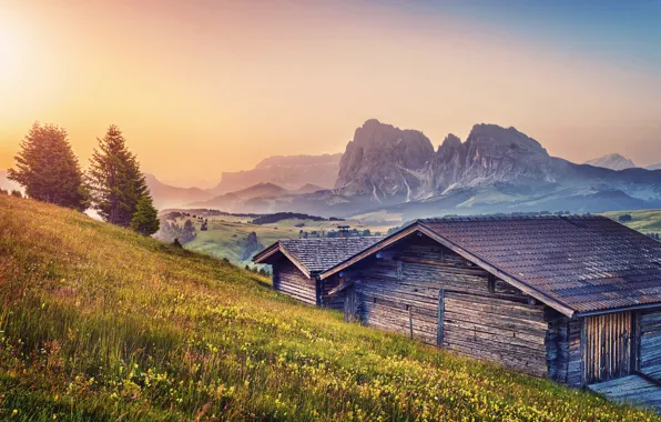 Summer, mountains, home, Alps, meadows