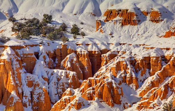 Winter, snow, trees, rocks, canyon