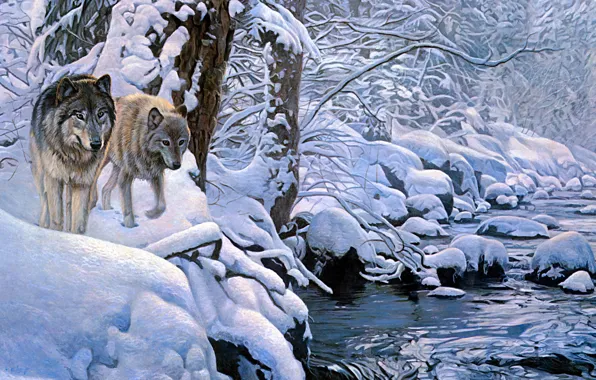 Winter, frost, forest, snow, trees, branches, nature, river