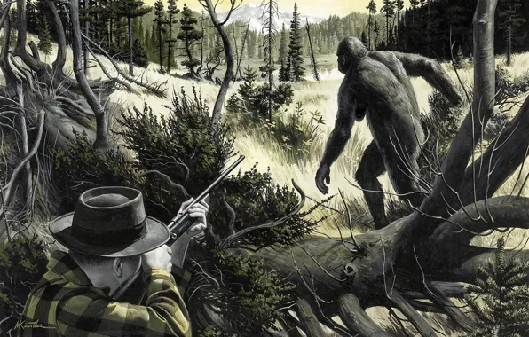 Picture forest, trees, nature, weapons, hunter, female, Yeti, Bigfoot