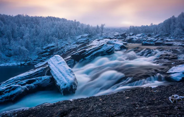 Picture forest, river, Sweden, Sweden, the first snow, winter is coming