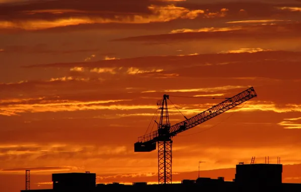 Sunset, crane, Construction