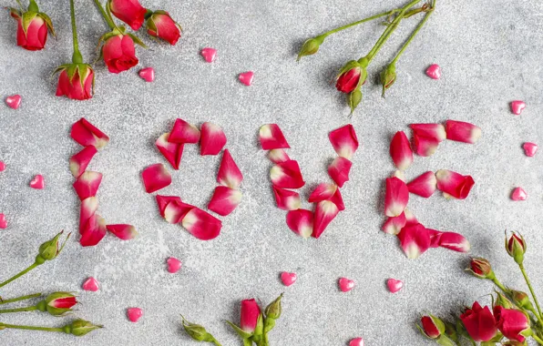 Love, flowers, holiday, the inscription, stems, heart, roses, bouquet