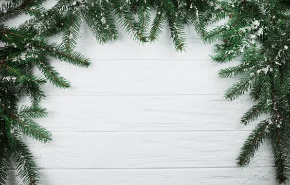 Background, tree, New Year, Christmas, Christmas, wood, background, New Year
