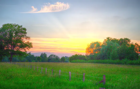 Wallpaper Field The Sky Grass Clouds Trees Sunset The Fence The Countryside For Mobile