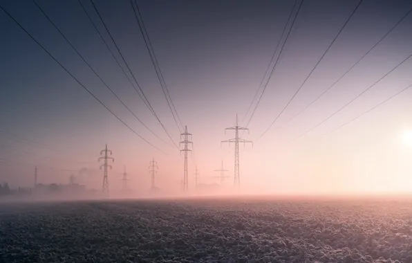 Field, fog, power lines