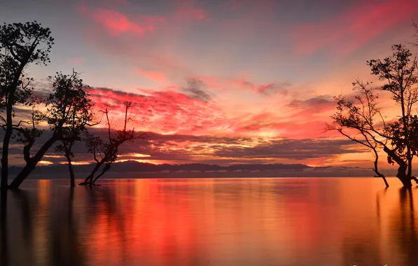 The sky, clouds, trees, lake, glow