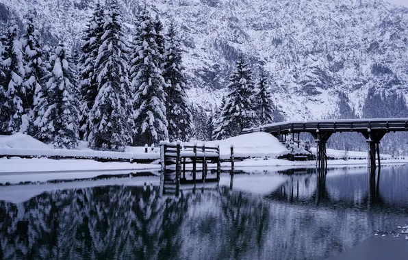 Winter, trees, bridge, river, ate