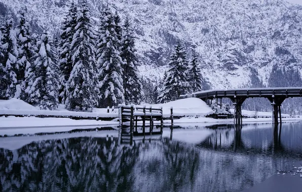 Picture winter, trees, bridge, river, ate