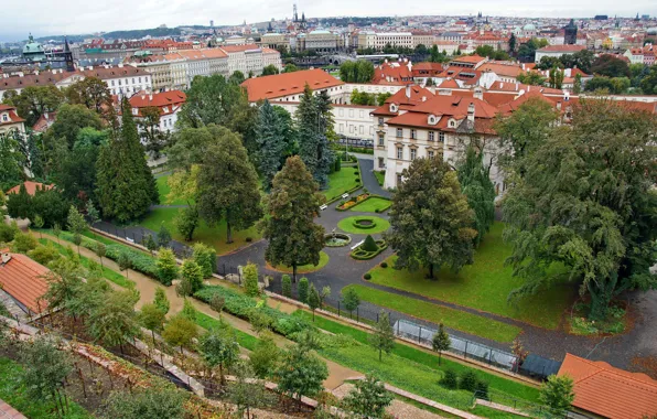 Picture trees, the city, photo, home, Prague, Czech Republic