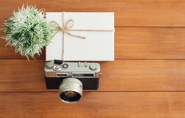 Flower, The camera, Box