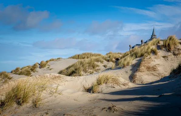 Picture sea, shore, dunes