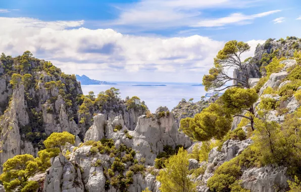 Picture sea, summer, mountains, nature