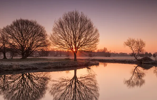 Frost, trees, nature, lake, morning, Suffolk, River Stour