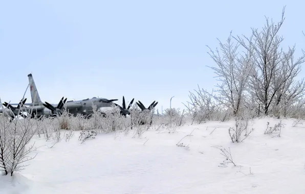 Picture winter, snow, the plane, missile, strategic bomber, Tu-95MS