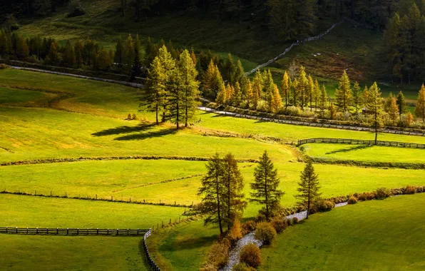 Picture road, field, trees, nature, river, slope